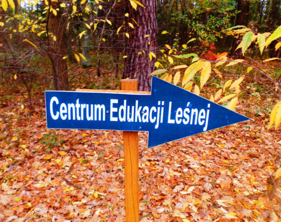 Centrum Edukacji Leśnej – Celestynów