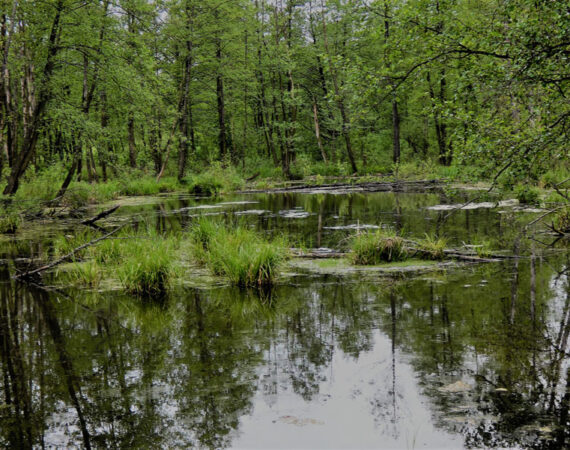 Bagno Całowanie